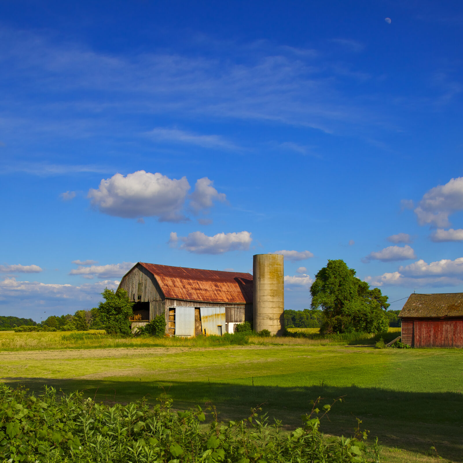 Early summer Ontario farm scene